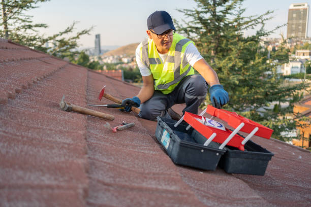 Best Yard Waste Removal  in Newport, OH